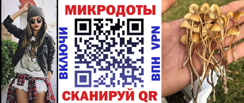 Галлюциногенные грибы мицелий где купить Шиханы